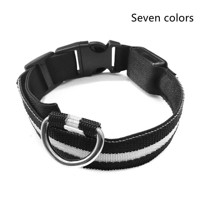 Collier lumineux LED pour chien et chat – photo 11 | CocoCompagnon