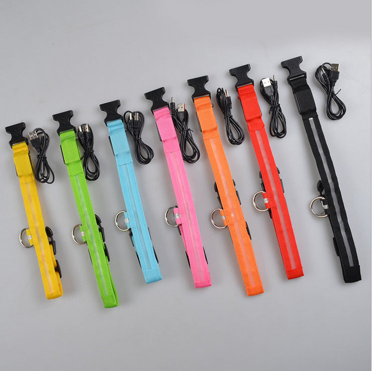 Collier lumineux LED pour chien et chat – photo 9 | CocoCompagnon