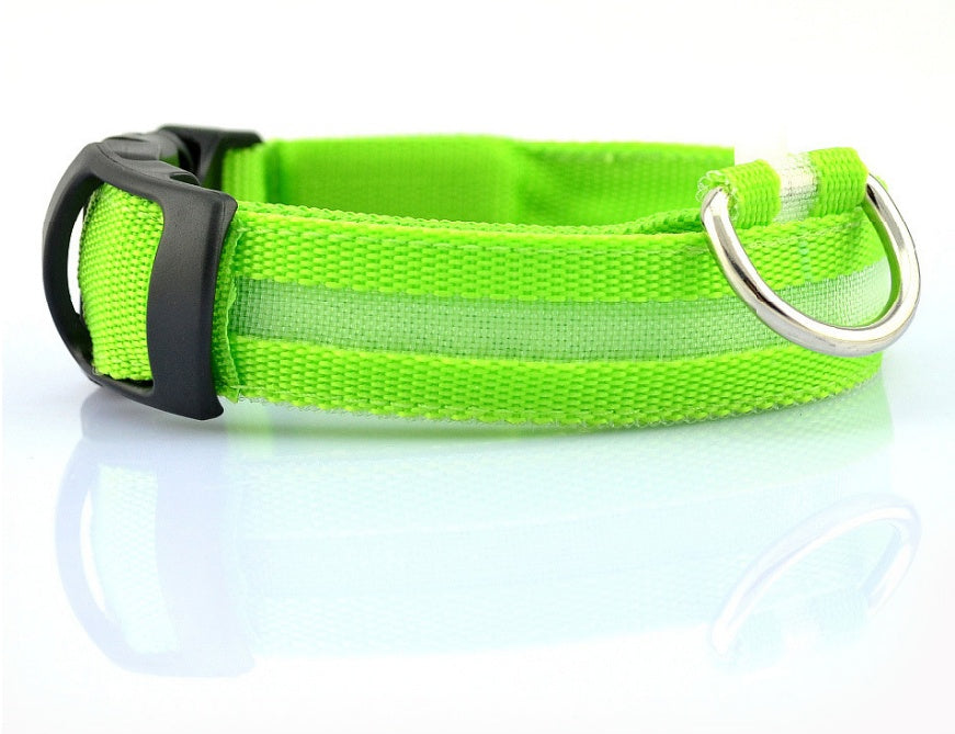 Collier lumineux LED pour chien et chat – photo 15 | CocoCompagnon