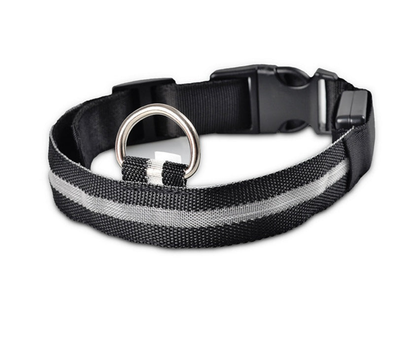 Collier lumineux LED pour chien et chat – photo 23 | CocoCompagnon