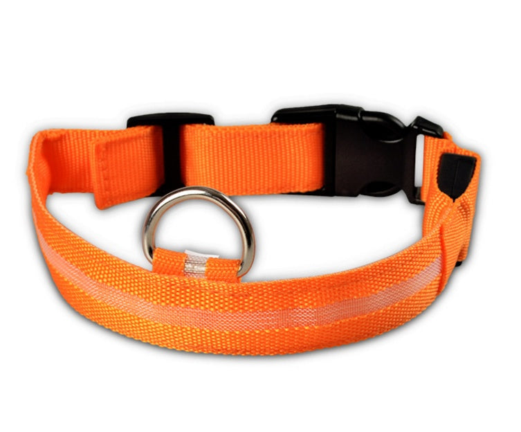 Collier lumineux LED pour chien et chat – photo 17 | CocoCompagnon