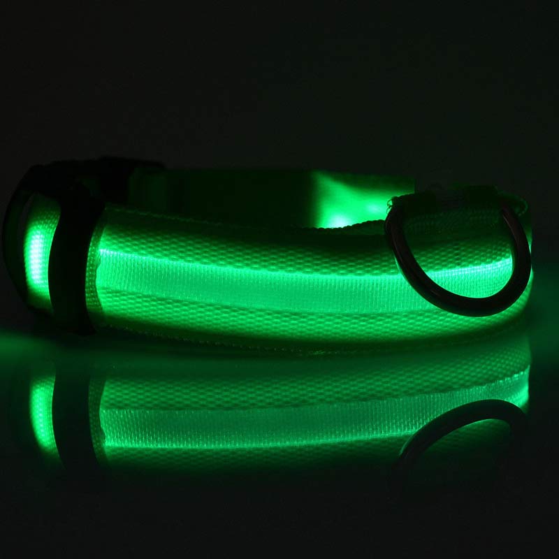 Collier lumineux LED pour chien et chat – photo 8 | CocoCompagnon