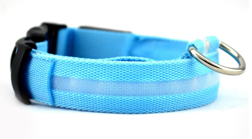 Collier lumineux LED pour chien et chat – photo 13 | CocoCompagnon