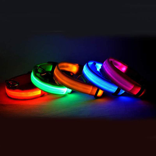 Collier lumineux LED pour chien et chat – vue principale | CocoCompagnon