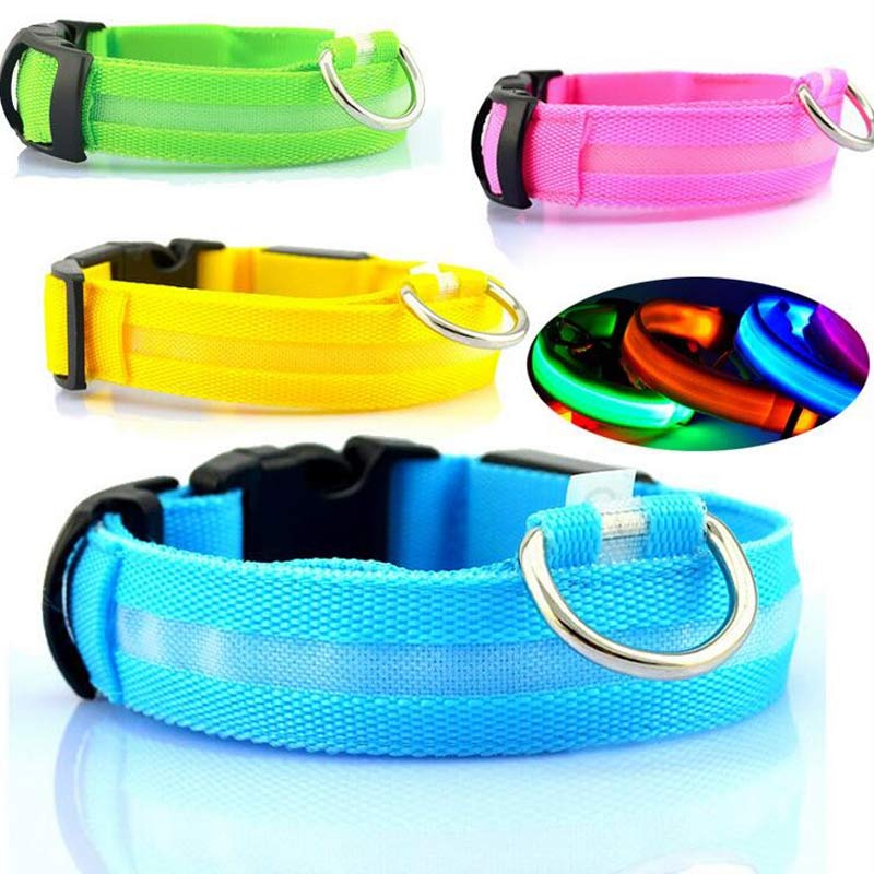 Collier lumineux LED pour chien et chat – photo 6 | CocoCompagnon