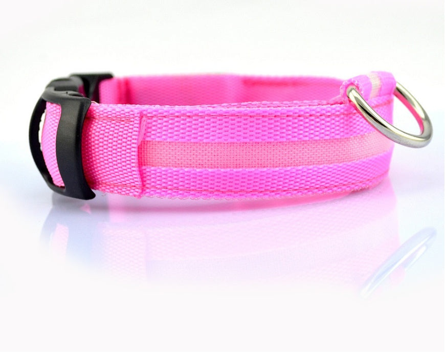 Collier lumineux LED pour chien et chat – photo 19 | CocoCompagnon