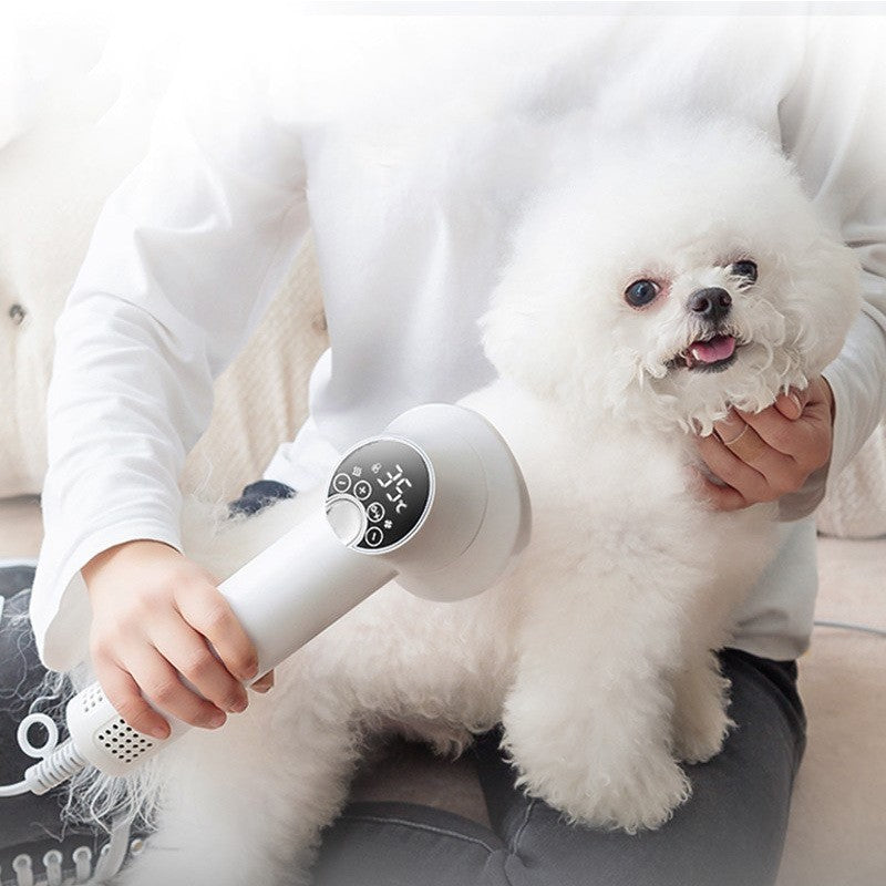 Sèche-poils 2 en 1 pour chien et chat – photo 2 | CocoCompagnon