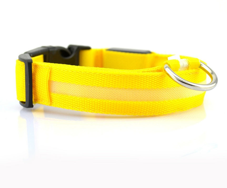 Collier lumineux LED pour chien et chat – photo 25 | CocoCompagnon