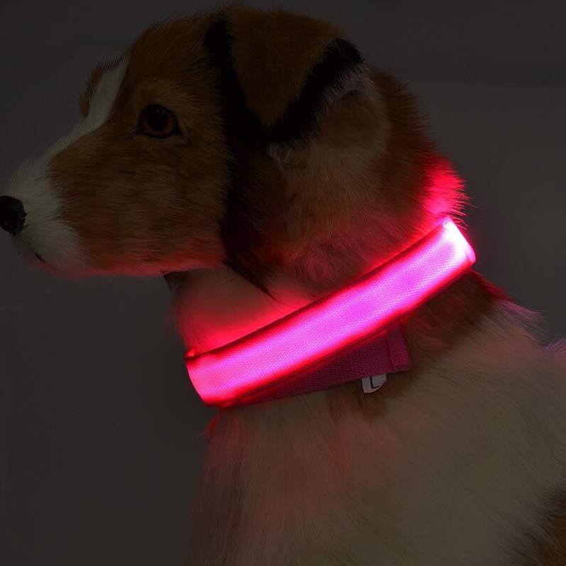 Collier lumineux LED pour chien et chat – photo 4 | CocoCompagnon