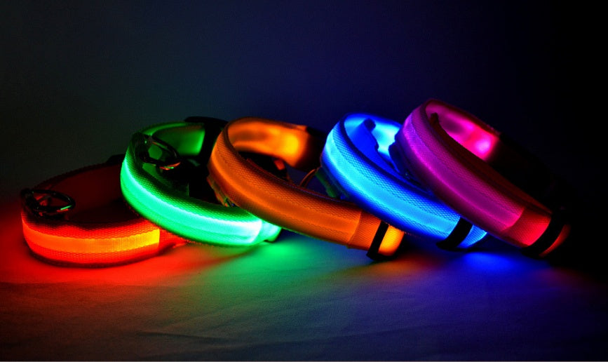 Collier lumineux LED pour chien et chat – photo 3 | CocoCompagnon