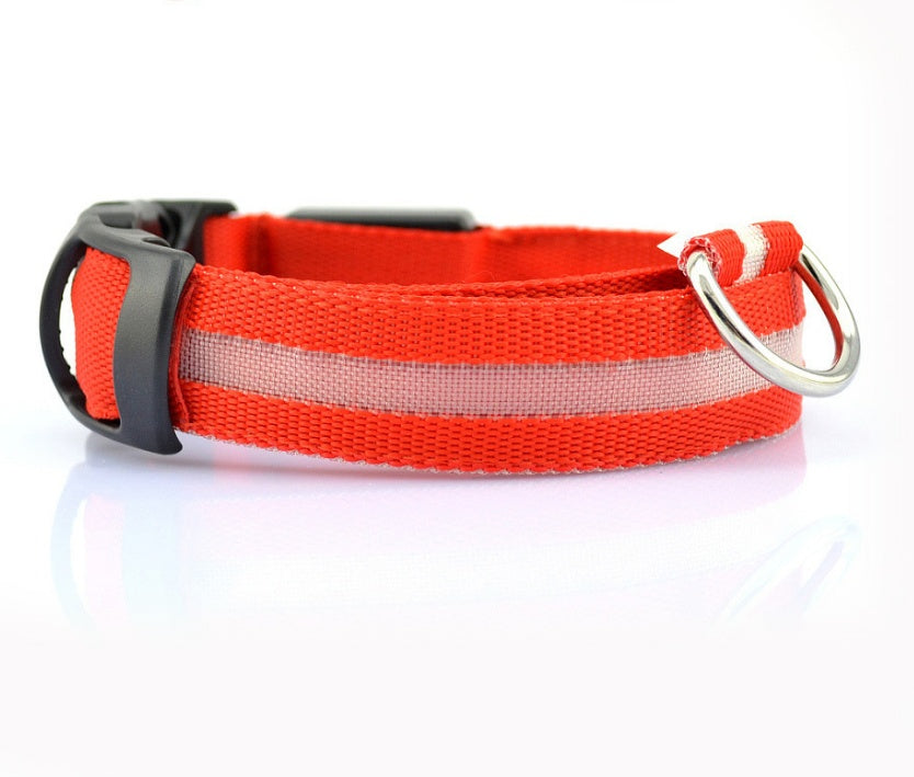 Collier lumineux LED pour chien et chat – photo 21 | CocoCompagnon