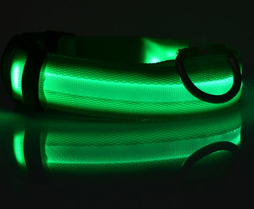 Collier lumineux LED pour chien et chat – photo 2 | CocoCompagnon