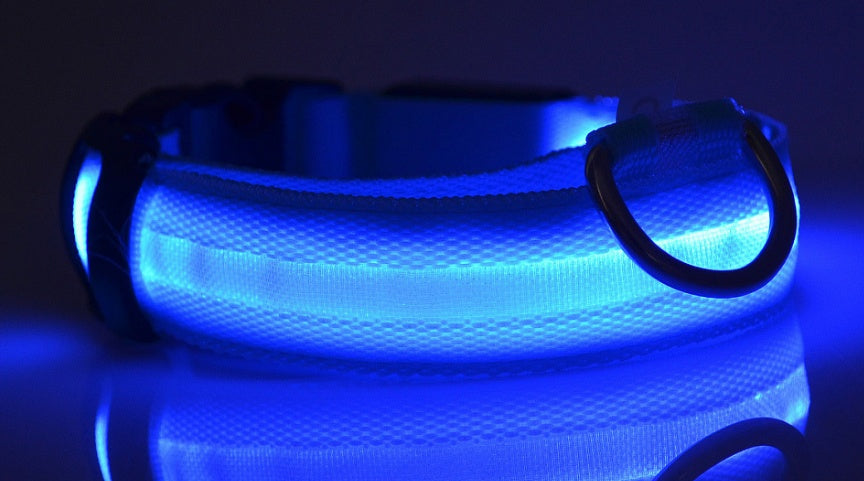 Collier lumineux LED pour chien et chat – photo 5 | CocoCompagnon