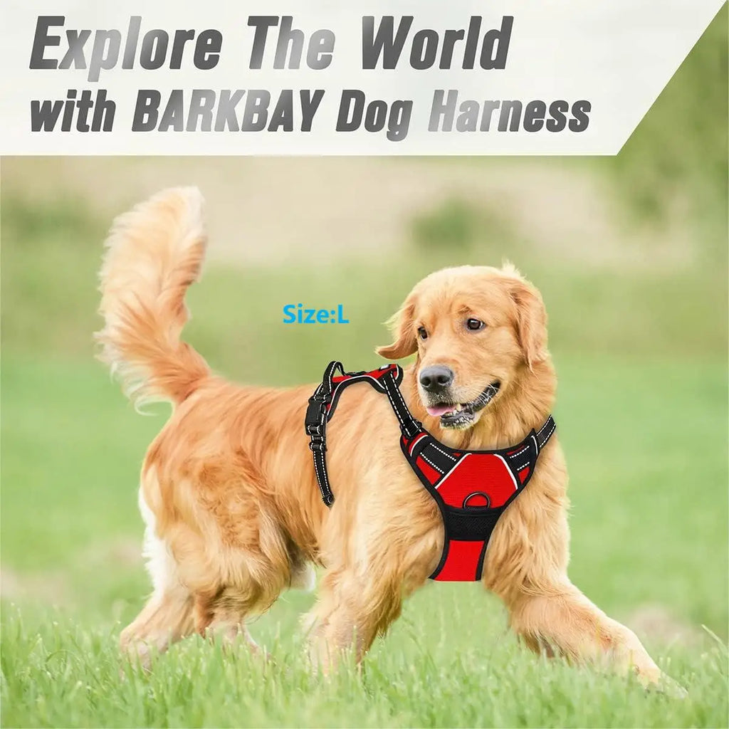 Harnais premium pour chien – photo 4 | CocoCompagnon