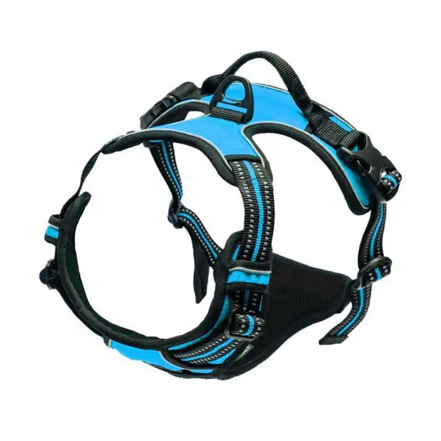 Harnais Premium CocoCompagnon — Promenades Sereines pour Vous & Votre Chien