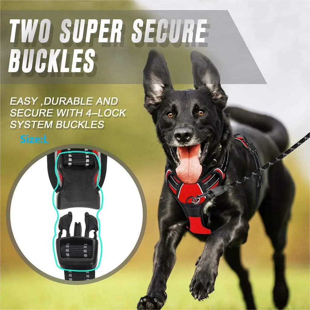 Harnais premium pour chien – photo 6 | CocoCompagnon