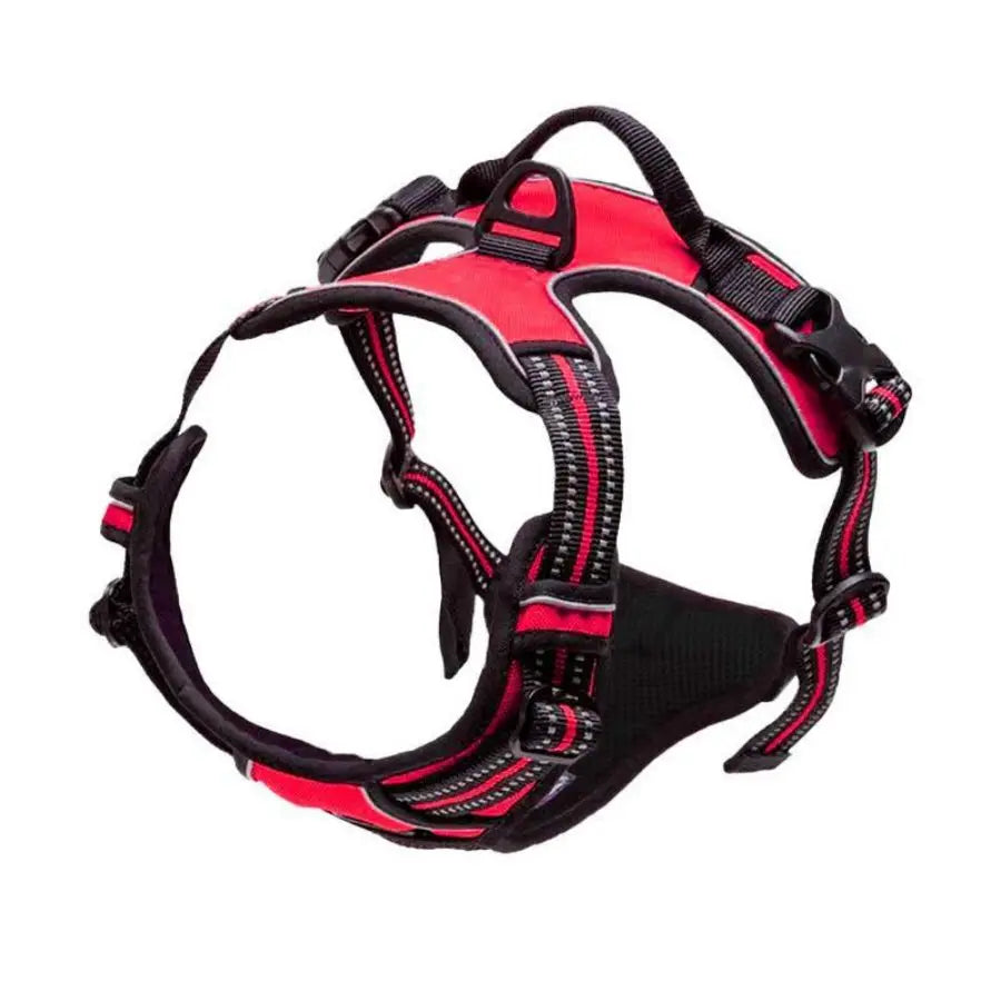 Harnais Premium CocoCompagnon — Promenades Sereines pour Vous & Votre Chien