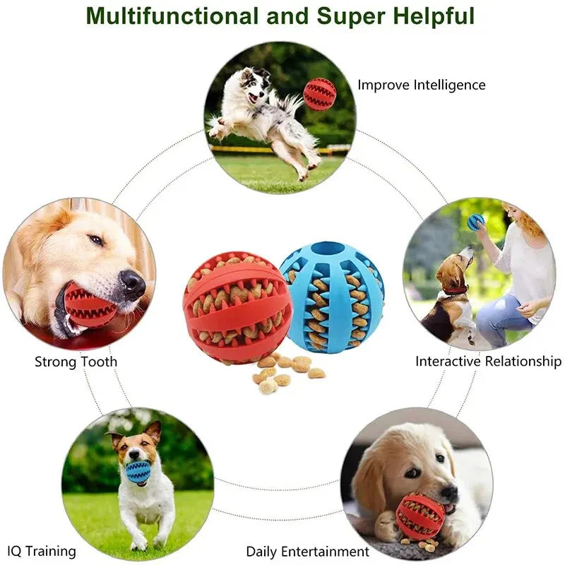 Balle Jouet CocoCompagnon — Distributeur de Friandises, Anti-Ennui pour Chien