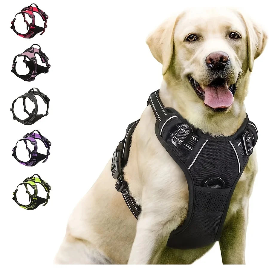 Harnais Premium CocoCompagnon — Promenades Sereines pour Vous & Votre Chien
