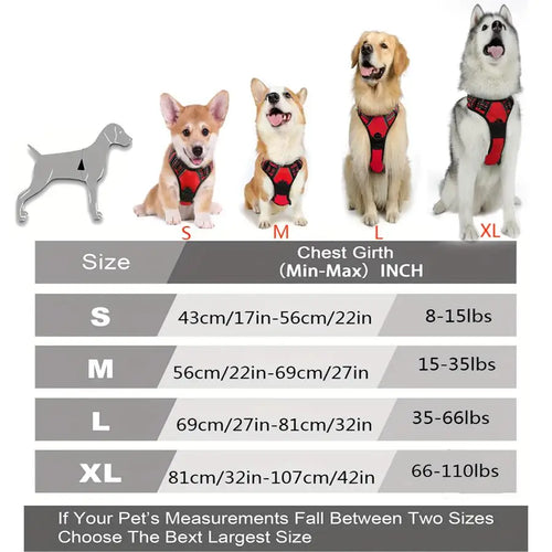 Harnais Premium CocoCompagnon — Promenades Sereines pour Vous & Votre Chien