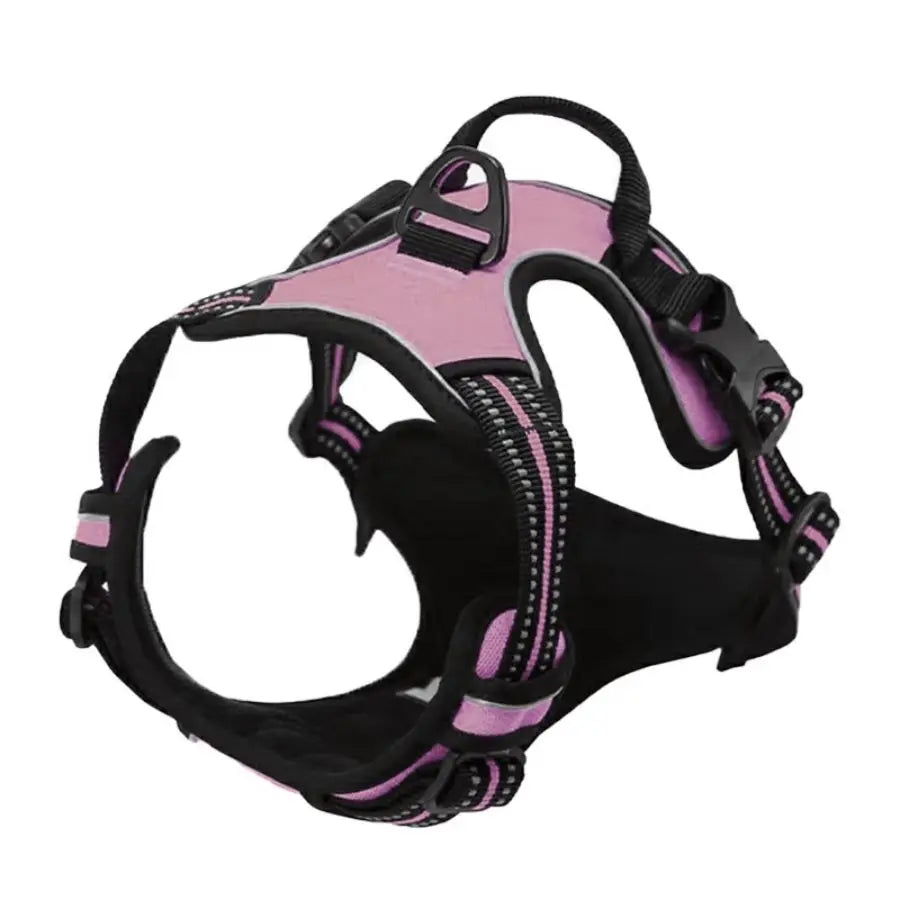 Harnais Premium CocoCompagnon — Promenades Sereines pour Vous & Votre Chien
