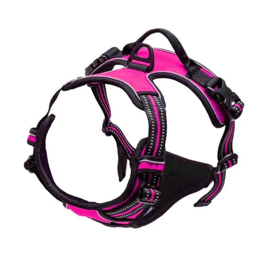 Harnais Premium CocoCompagnon — Promenades Sereines pour Vous & Votre Chien