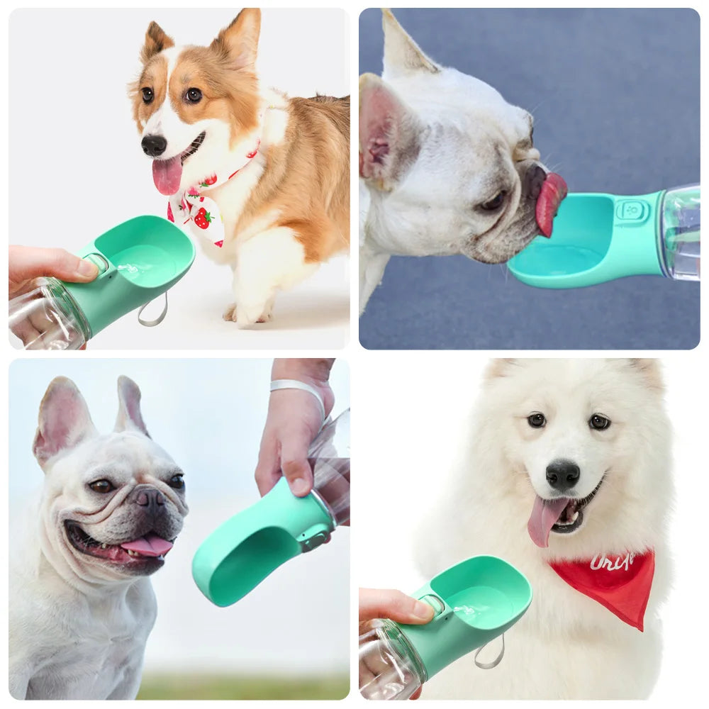 Gourde portable pour chien avec abreuvoir intégré – photo 6 | CocoCompagnon