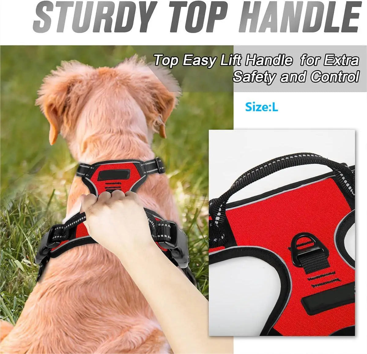 Harnais Premium CocoCompagnon — Promenades Sereines pour Vous & Votre Chien