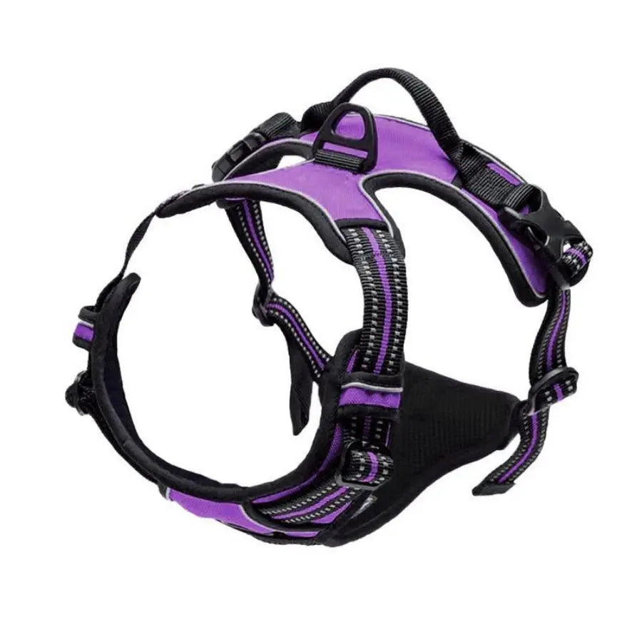 Harnais Premium CocoCompagnon — Promenades Sereines pour Vous & Votre Chien