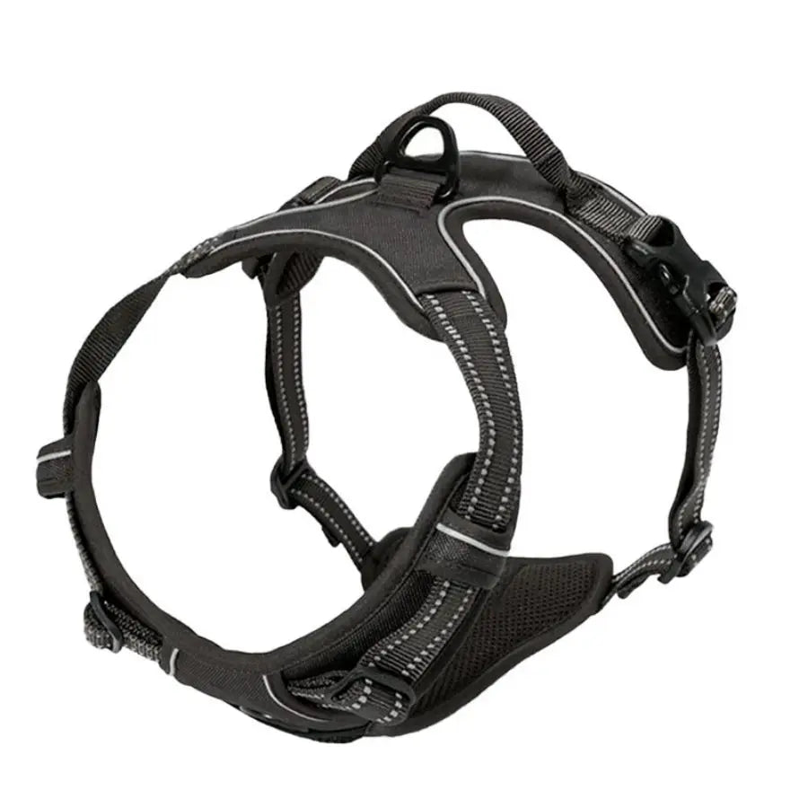 Harnais Premium CocoCompagnon — Promenades Sereines pour Vous & Votre Chien