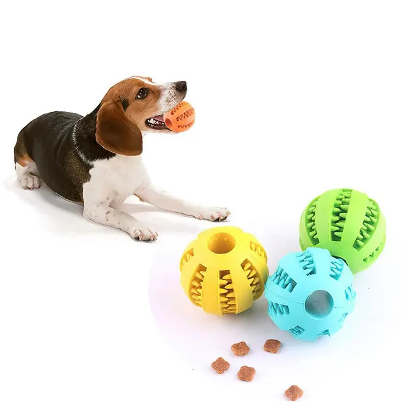 Balle Jouet CocoCompagnon — Distributeur de Friandises, Anti-Ennui pour Chien