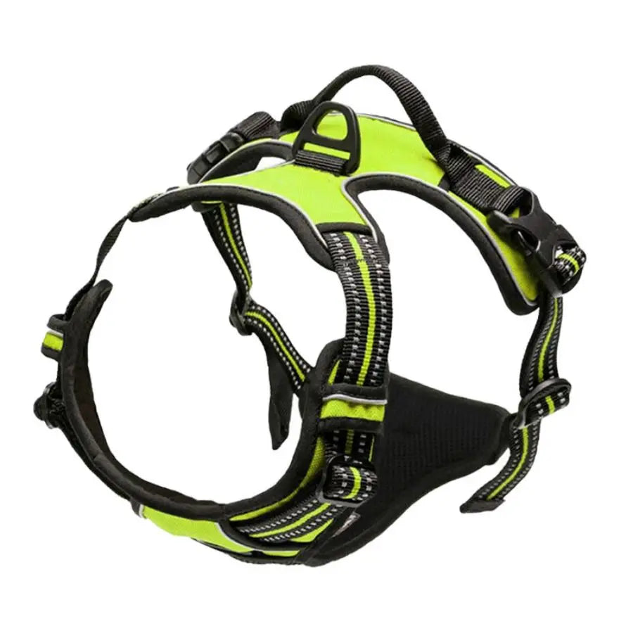 Harnais premium pour chien – photo 11 | CocoCompagnon