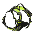 Harnais premium pour chien – photo 11 | CocoCompagnon