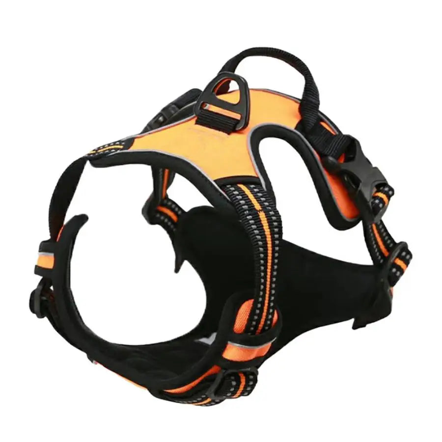 Harnais Premium CocoCompagnon — Promenades Sereines pour Vous & Votre Chien