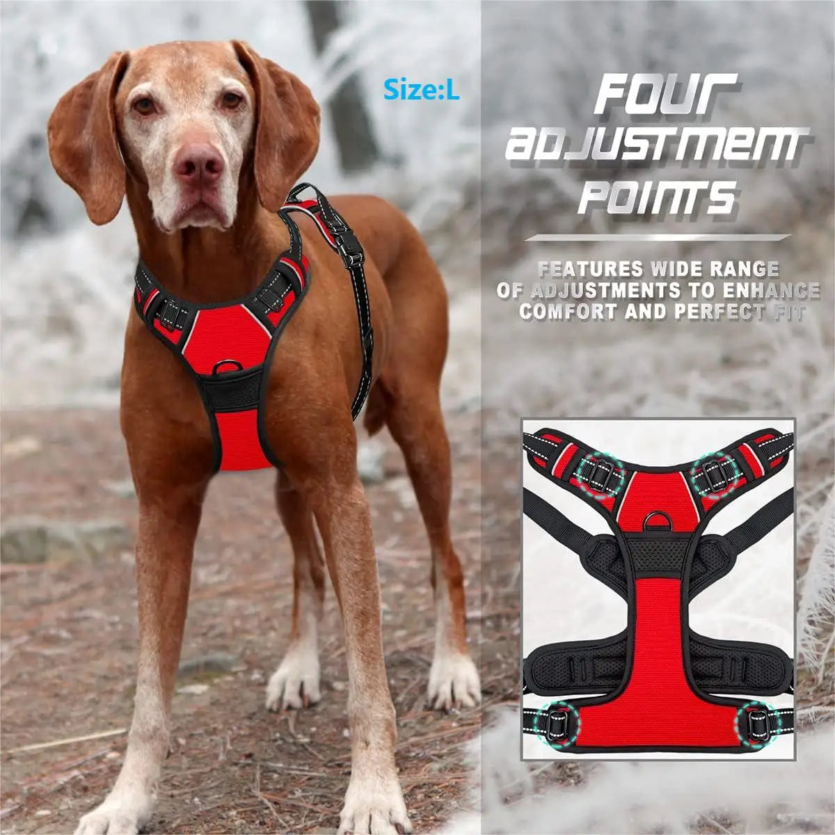 Harnais Premium CocoCompagnon — Promenades Sereines pour Vous & Votre Chien
